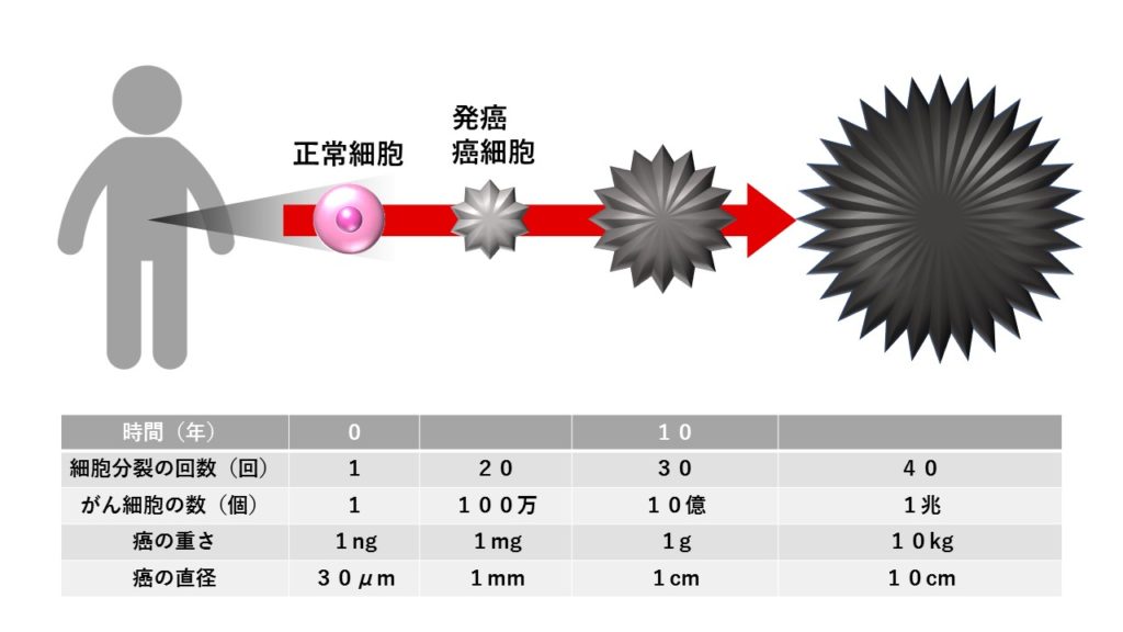 Dna複製エラー きせんワールド
